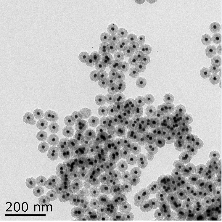 介孔二氧化硅包覆金納米顆粒