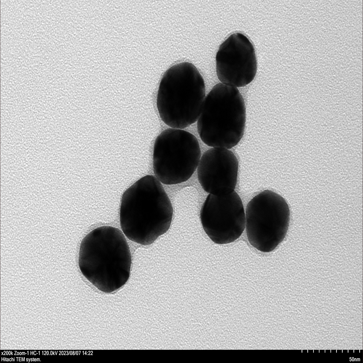 薄層二氧化硅包覆金納米顆粒