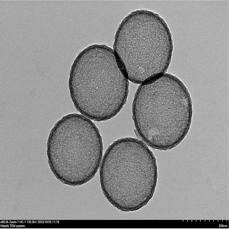 中空介孔碳納米球