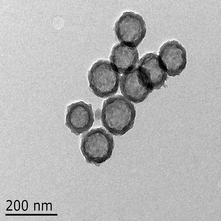 硅納米材料藥物遞送平臺(tái)