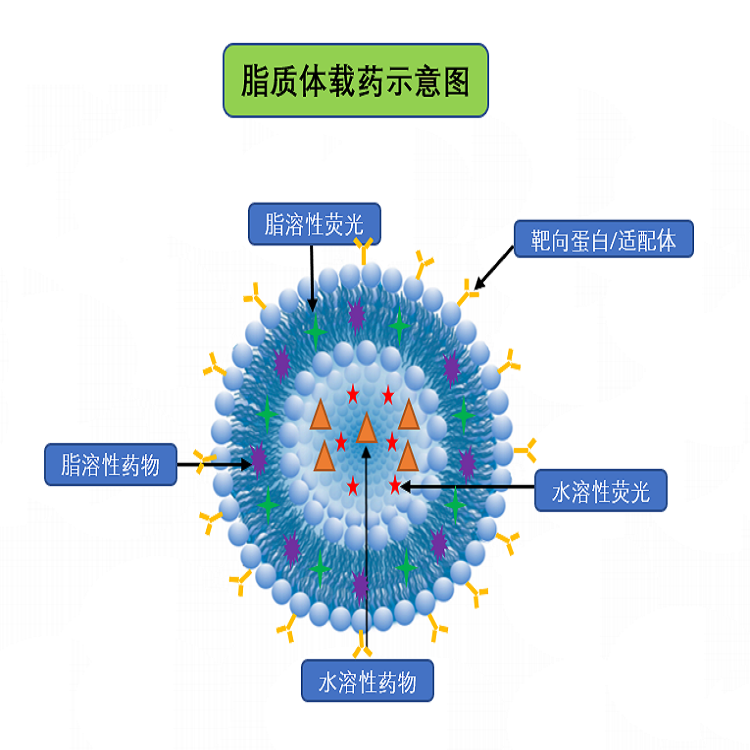 納米材料定制平臺(tái)介紹