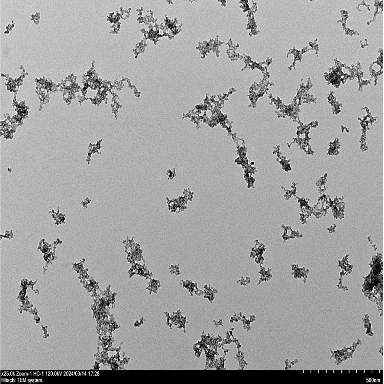殼聚糖硫化銅納米顆粒