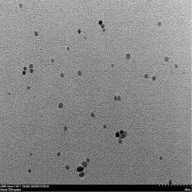四氧化三錳納米顆粒