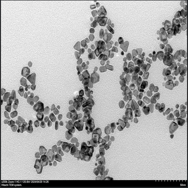 鎳鉑合金納米顆粒
