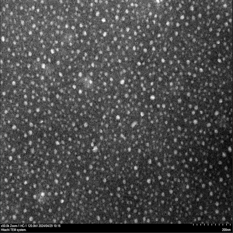 透明質(zhì)酸納米顆粒