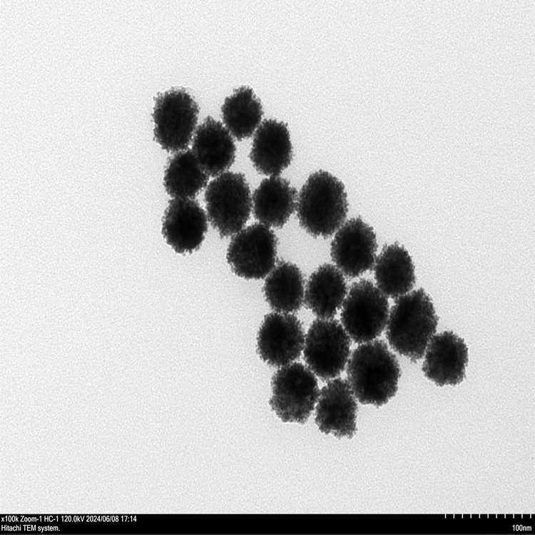 鉑包金納米顆粒