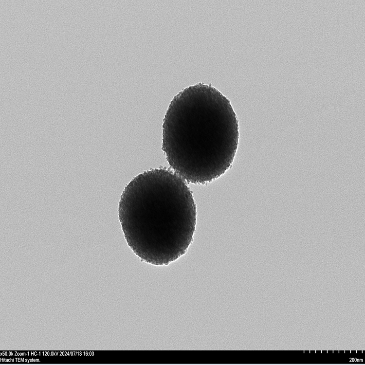 介孔二氧化鈦納米顆粒